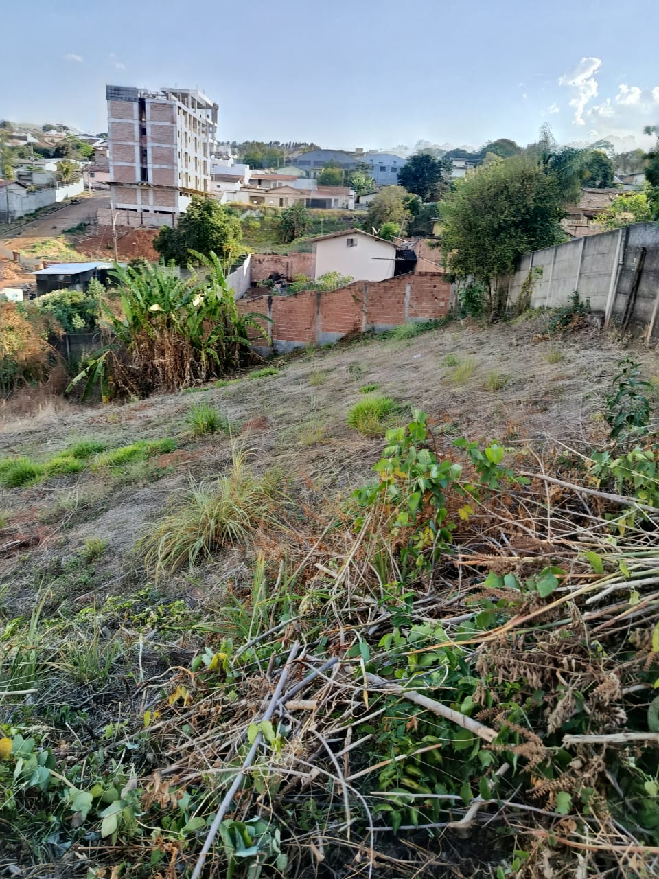 Terreno 450m Vila Silvéria - Imagem 2
